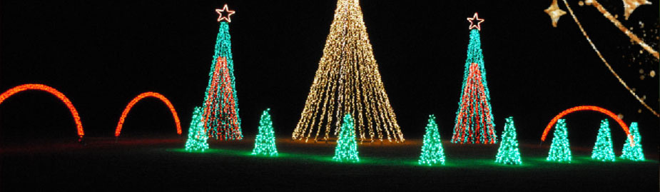 Walk through light show